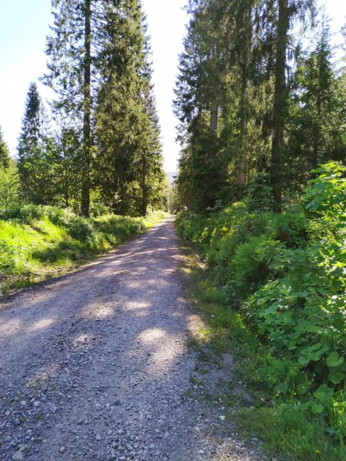 Ferienwohnung Feldberg - Residenz Grafenmatt エクステリア 写真