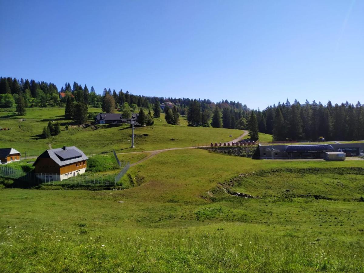 Ferienwohnung Feldberg - Residenz Grafenmatt エクステリア 写真