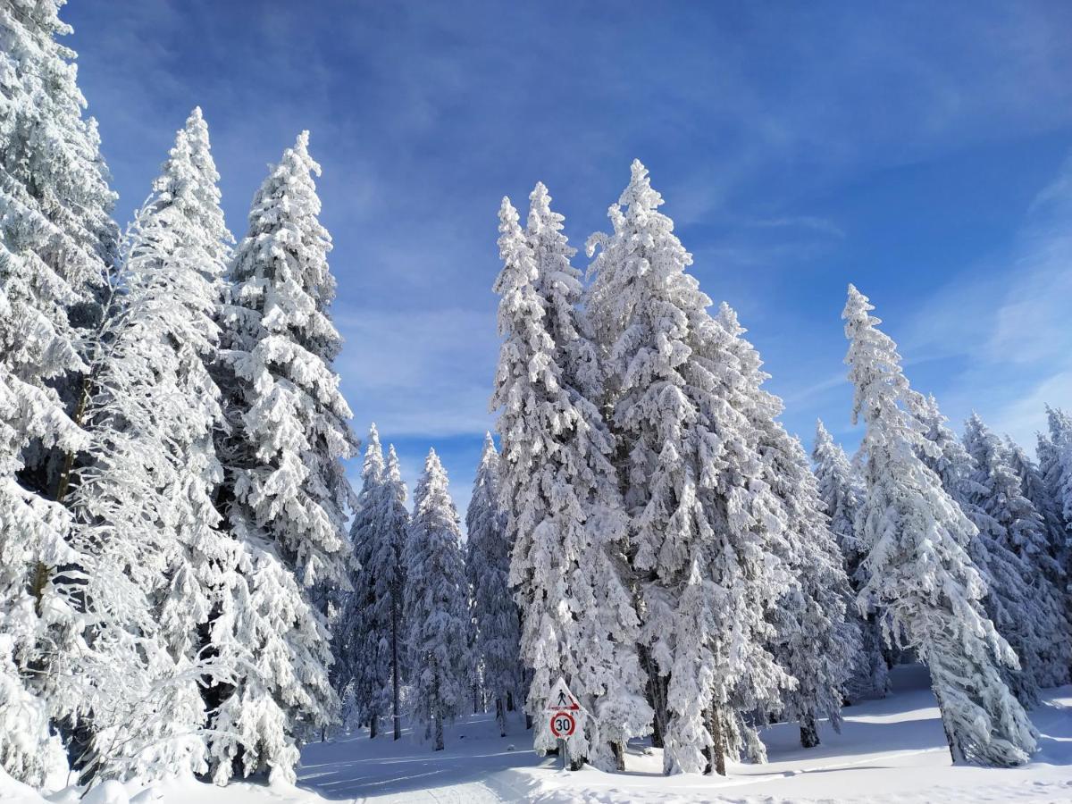Ferienwohnung Feldberg - Residenz Grafenmatt エクステリア 写真