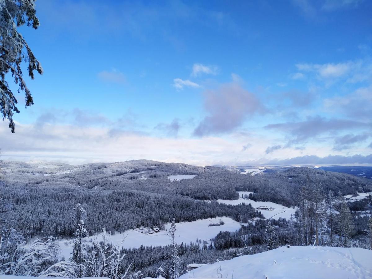 Ferienwohnung Feldberg - Residenz Grafenmatt エクステリア 写真