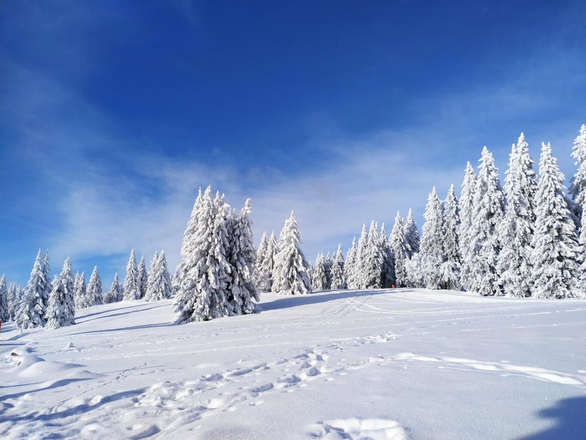 Ferienwohnung Feldberg - Residenz Grafenmatt エクステリア 写真