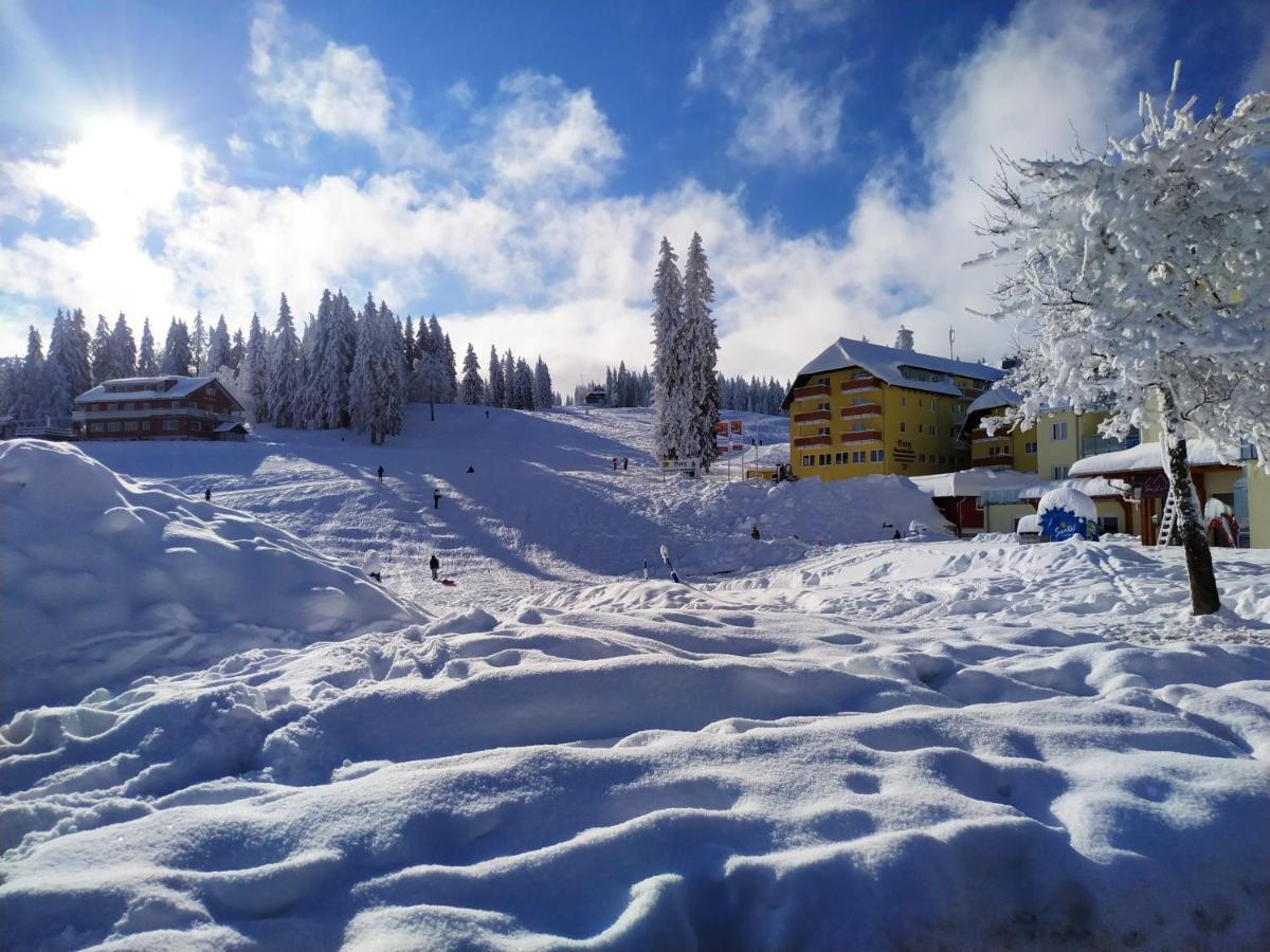 Ferienwohnung Feldberg - Residenz Grafenmatt エクステリア 写真